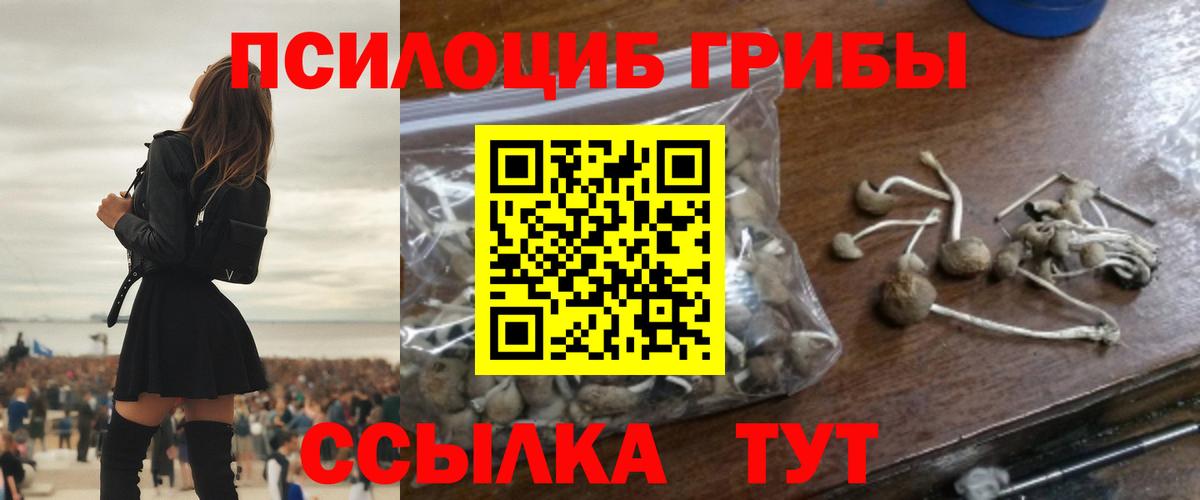 Псилоцибиновые грибы мицелий Малоярославец